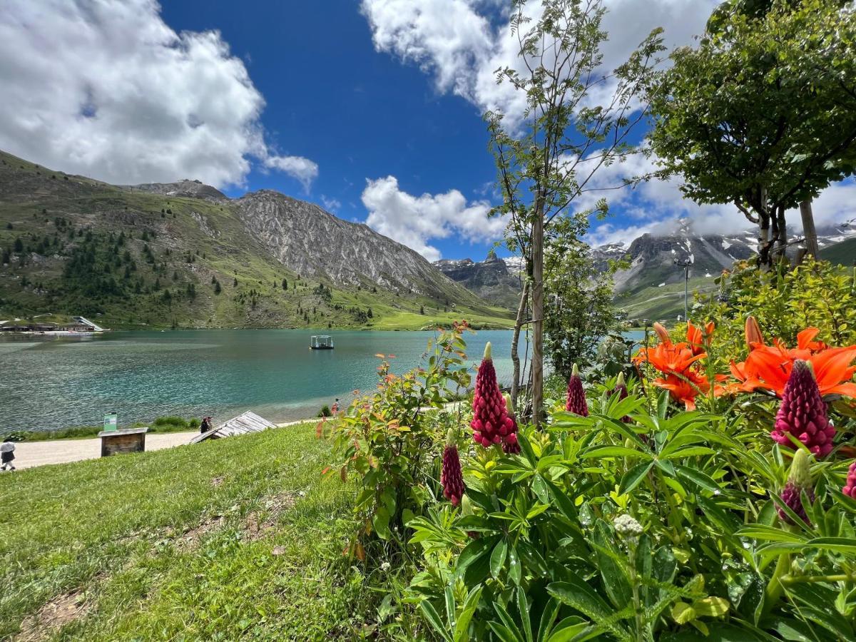Myhome - Genepis 9 - Studio Renove Tignes Val Claret 4 Pax Sks Aux Pieds Экстерьер фото